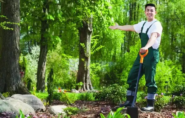 Een ervaren tuinman voert professioneel tuinonderhoud uit